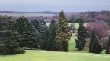 İngiltere 'nin yemyeşil çimleri ve ağaçlarıyla İngiltere' nin doğal manzarası.