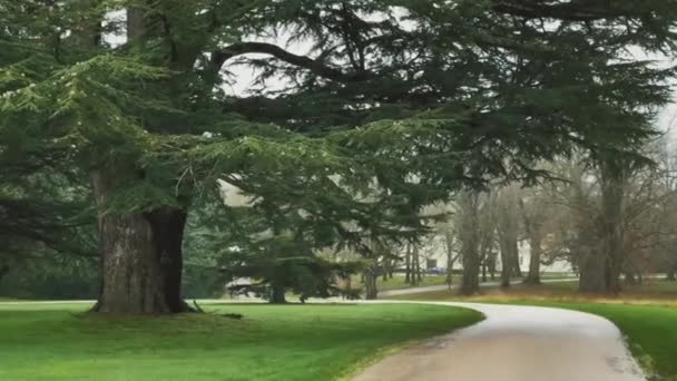 Zielone Trawniki Drzewa Obfitują Malowniczym Angielskim Krajobrazie Wiejskim Wielkiej Brytanii — Wideo stockowe