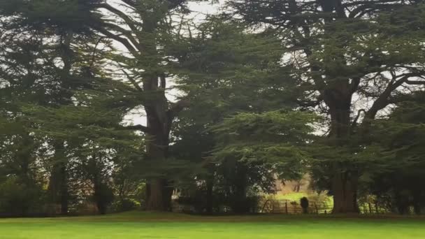 Natürliche Landschaft Mit Grünen Rasenflächen Und Bäumen Malerische Englische Landschaft — Stockvideo