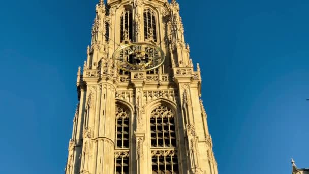 Katedra Matki Boskiej Katedra Rzymskokatolicka Antwerpii Belgia Film Filmowy — Wideo stockowe