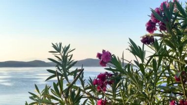 Akdeniz kıyıları, deniz manzarası, deniz manzarası ve yaz seyahati, yavaş çekim video