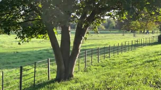 Krásná Příroda Anglické Krajiny Nádherné Ráno Hemel Hempstead Hertfordshire Anglie — Stock video