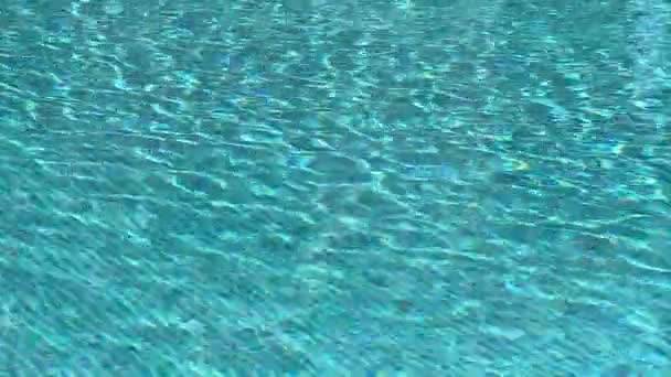 Swimming Pool Water Summer Holiday Background Crystal Blue Texture Summertime — Stock Video