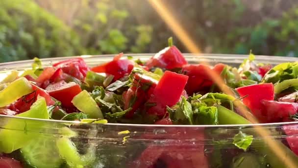 Skål Med Färsk Trädgårdssallad Med Mogna Tomater Krispiga Grönsaker Och — Stockvideo