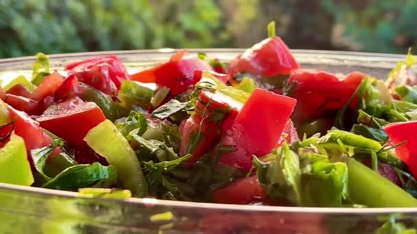 Mísa Čerstvého Zahradního Salátu Zralými Rajčaty Křupavou Zeleninou Paprikou Podávaná — Stock video