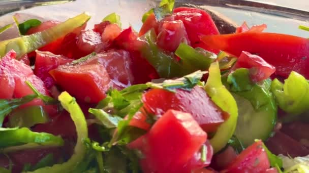 Skål Med Färsk Trädgårdssallad Med Mogna Tomater Krispiga Grönsaker Och — Stockvideo