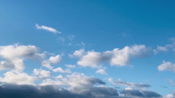 Expansivo Cielo Azul Adornado Con Suaves Esponjosas Nubes Capturando Esencia — Vídeos de Stock
