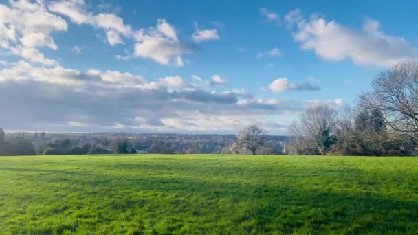 Idylliczny Angielski Widok Wsi Tętniącymi Życiem Zielonymi Polami Pod Błękitnym — Wideo stockowe
