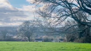 Hemel Hempstead, Hertfordshire, İngiltere, Birleşik Krallık 'ta ilkbaharın başlarında mavi gökyüzü altında canlı yeşil tarlaları ile Idyllic İngiliz kırsal manzarası