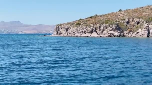 Pobřežní Přímořská Pláň Průzračně Modrými Vodami Útesy Letní Dovolená Moře — Stock video
