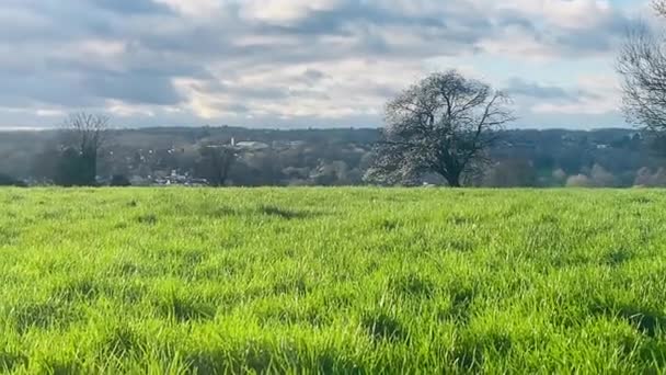 Vista Rural Inglesa Idílica Com Campos Verdes Vibrantes Sob Céu — Vídeo de Stock