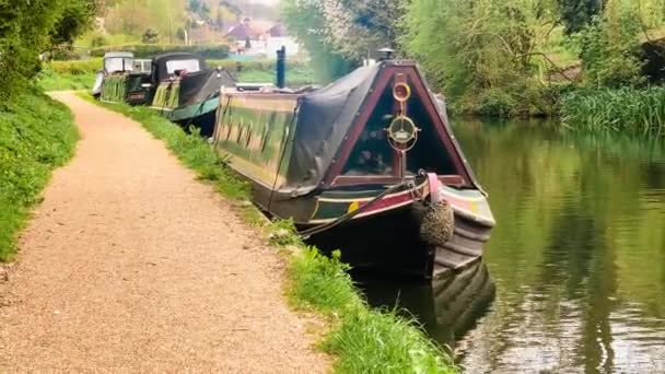 英国赫特福德郡阿普斯利的运河船和风景如画的水道 四周环绕着茂盛的绿叶和古朴的乡村风光 高质量的4K镜头 — 图库视频影像