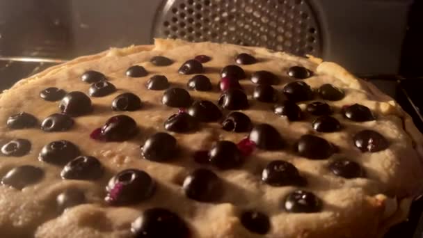 自制蓝莓薄饼烘烤在烤箱里 节日烘焙菜谱和厨房小吃甜点的主意 — 图库视频影像