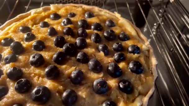 Σπιτικό Blueberry Shortcrust Κέικ Ψησίματος Στο Φούρνο Συνταγή Ψησίματος Διακοπών — Αρχείο Βίντεο