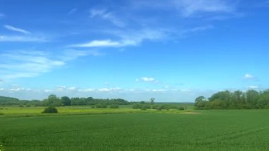 Yazın İngiliz kırsal arazisi, yeşil alanlar ve mavi gökyüzü, doğa, kırsal tarım hayatı ve tarım kavramı