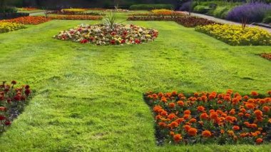 Renkli çiçek yatakları ve budanmış çimen yolları olan güzel manikürlü bir bahçe. Geleneksel İngiliz evleri arka planda, barışçıl ortamı geliştirerek görülebilir. Yüksek kalite 4k görüntü