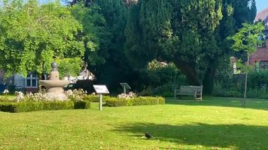 Yeşillik, taştan bir çeşme ve uzun ağaçların altında gölgeli oturma alanları olan İngiliz bahçe sahnesi doğada huzurlu bir geri çekilme sunuyor. Yüksek kalite 4k görüntü