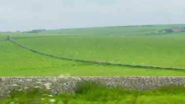 Geniş yeşil alanlar Eastbourne, Doğu Sussex, Birleşik Krallık 'taki kayan tepelere doğru uzanıyor, sakin ve bulutlu bir günde İngiliz kırsalının zamansız cazibesini çağrıştırıyor.