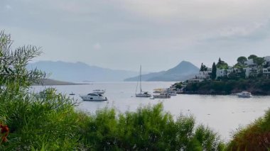 Bereketli yeşillik ve canlı çiçekler, sakin bir deniz manzarası oluşturur. Huzurlu bir adanın yakınında, yumuşak mavi bir gökyüzünün altında demirlemiş bir yelkenli.