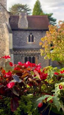 Kırmızı çiçeklerden ve yemyeşil çiçeklerden oluşan canlı bir bahçeyle çevrili büyüleyici taş kilise huzurlu bir kır manzarası yaratıyor.