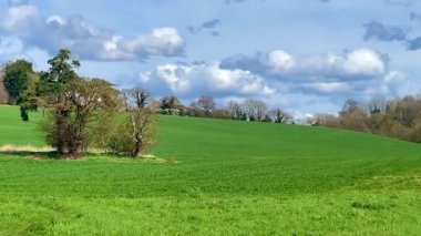 Yeşil tarlaları yuvarlanan İngiliz kırsal manzarası ve tüylü beyaz bulutlarla benekli parlak mavi bir gökyüzü, sükunet ve doğal güzellik yayıyor.