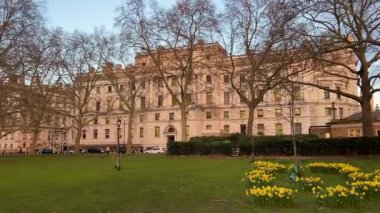 St. James Park 'ın yeşil çimlerinde bahar nergisleri açar. Çıplak kış ağaçlarının ötesinde zarif tarihi binalar vardır.