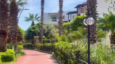 Türkiye 'nin Bodrum kenti yakınlarındaki güneşli palmiye yolu, modern beyaz villaları ve huzurlu kıyı yolu boyunca yemyeşil.