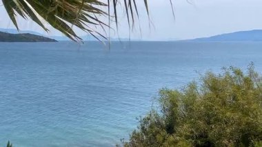 Türkiye 'nin Bodrum kenti yakınlarındaki palmiye yapraklarının altında hala turkuaz su uzanırken, uzak tepeler gün ortası ışığı altında denizi karşılıyor, yavaş çekim.