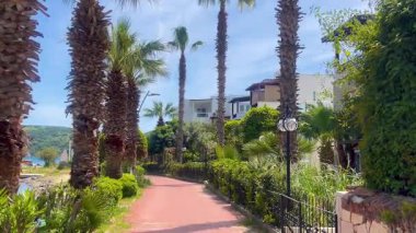 Türkiye 'nin Bodrum kenti yakınlarındaki güneşli palmiye yolu, modern beyaz villaları ve huzurlu kıyı yolu boyunca yemyeşil.