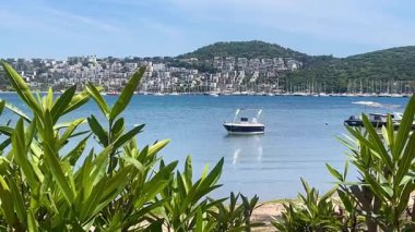 Türkiye 'nin Bodrum kenti yakınlarında, yemyeşil ve beyaz tepe evlerinin çerçevelediği sakin, mavi bir su üzerinde yüzen sessiz bir tekne, yavaş çekimde.