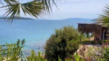 Palmiyeler ve çalılar arasında yuva yapmış kıyı kulübesi Türkiye 'nin Bodrum kenti yakınlarındaki sakin Ege sularına bakıyor..