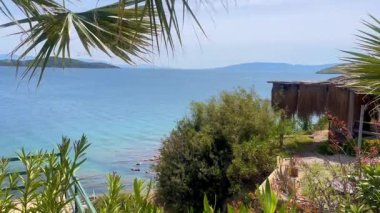 Palmiyeler ve çalılar arasında yuva yapmış kıyı kulübesi Türkiye 'nin Bodrum kenti yakınlarındaki sakin Ege sularına bakıyor..