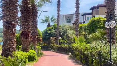 Türkiye 'nin Bodrum kenti yakınlarındaki güneşli palmiye yolu, modern beyaz villaları ve huzurlu kıyı yolu boyunca yemyeşil.