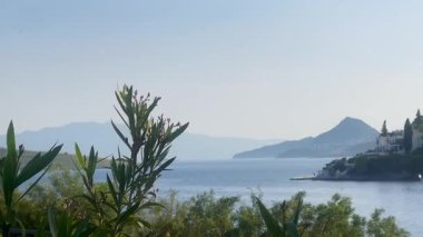 Yumuşak mavi deniz ve uzak tepeler Türkiye 'nin Bodrum kenti yakınlarındaki yapraklı dalların ötesine uzanır. Huzurlu bir sahil şeridi sabah ışığı ve yavaş çekim ile yıkanır.