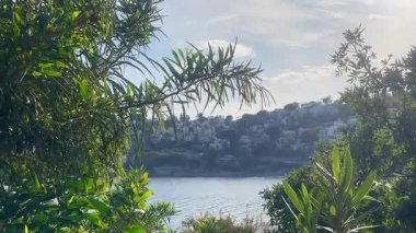 Zengin kıyı yaprakları tarafından çerçevelenen Türkiye 'nin Bodrum kenti yakınlarındaki yamaçtaki evler, öğleden sonra ışığı altında ışıldayan denizin üzerinde yavaşça yükseliyor.