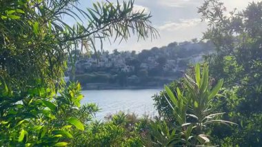 Zengin kıyı yaprakları tarafından çerçevelenen Türkiye 'nin Bodrum kenti yakınlarındaki yamaçtaki evler, öğleden sonra ışığı altında ışıldayan denizin üzerinde yavaşça yükseliyor.