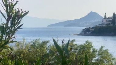 Yumuşak mavi deniz ve uzak tepeler Türkiye 'nin Bodrum kenti yakınlarındaki yapraklı dalların ötesine uzanır. Huzurlu bir sahil şeridi sabah ışığı ve yavaş çekim ile yıkanır.