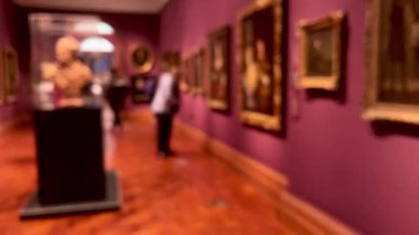 Bulanık müze içi, sanat tarihi eğitimi ve kültür eğlencesi, dağılmış