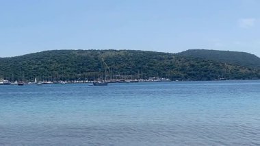 Açık mavi sular, Türkiye 'nin Bodrum kenti yakınlarındaki teknelerle benekli yeşil bir yamacın altına uzanıyor.