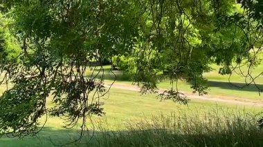 Güneş ışığı, yeşil yaz yapraklarının arasından süzülüyor, sakin bir İngiliz kırsal sahnesinde, aşağıdaki yabani otların üzerine lekeli gölgeler bırakıyor, yavaş çekim.