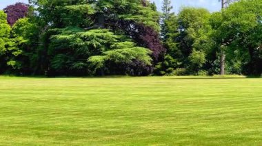 Parlak mavi gökyüzünün altında İngiliz çimenliği dağınık bulutlar ve katmanlı yemyeşil, sakin kırsal manzara, yavaş çekim