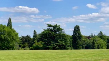 Parlak mavi gökyüzünün altında İngiliz çimenliği dağınık bulutlar ve katmanlı yemyeşil, sakin kırsal manzara, yavaş çekim