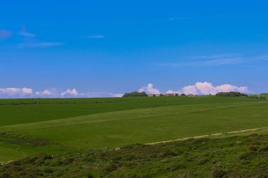 Distant farm buildings and tree clusters sit beyond open pastureland with boundary fence under wide blue sky, concept of agriculture, countryside ownership and English rural setting