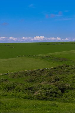 Expansive green fields rolling under blue sky with fluffy white clouds on a bright day. East Sussex countryside, England