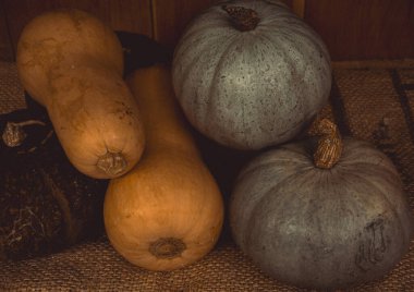 Çuval bezi dokusuna yerleştirilmiş çeşitli balkabakları ve tereyağı kabakları sonbaharı, hasatı ve mevsimsel dekorasyonu sembolize ediyor. Cotswolds, İngiltere
