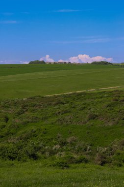 Yuvarlanan tepeleri, uzak çiftlik binaları ve mavi gökyüzü olan yeşil bir manzara. Doğu Sussex kırsal bölgesi, İngiltere