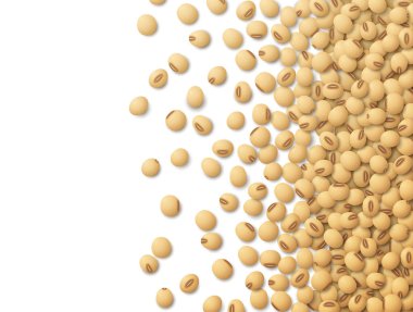 Tablonun sağ tarafına saçılmış çiğ soya fasulyesi. Kopya alanı olan organik soya tohumu arka planı. Soya için vektör illüstrasyon, vejetaryen diyeti, baklagil çiftçiliği, gastronomi, sağlıklı yiyecek vs.