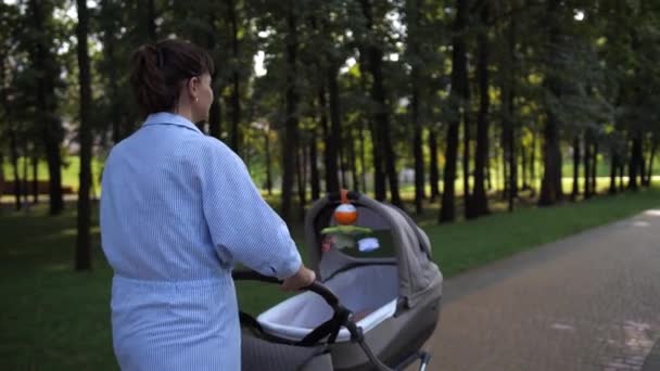 妈妈坐在婴儿车里打滚 他们在公园里散步 一个女人和她一起回到摄像机前 4K慢速Mo — 图库视频影像