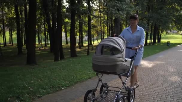 Yazlık Elbiseli Genç Bir Kadın Yeşil Bir Parkta Bir Bebek — Stok video