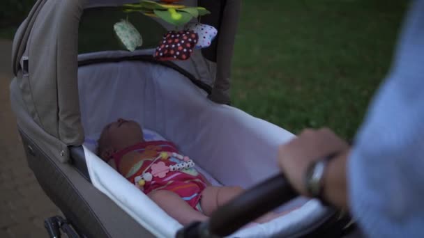 Közelkép Gyerek Egy Babakocsiban Fekszik Anya Gyerek Sétálnak Parkban Lassú — Stock videók